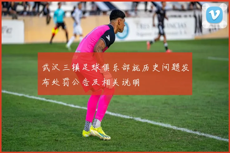 武汉三镇足球俱乐部就历史问题发布处罚公告及相关说明